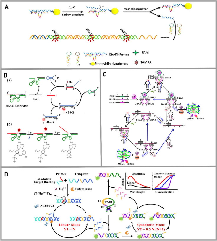 Functional nucleic acid-based fluorescent probes for metal ion