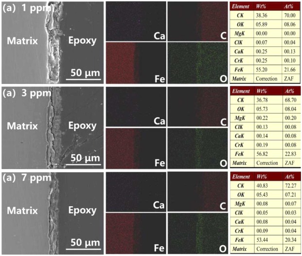 Insight into the effect of oxygen content on the corrosion