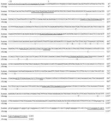 Evolution of Fucosyltransferase Genes in Vertebrates - ScienceDirect