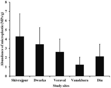 Microplastic contamination in filter-feeding oyster Saccostrea