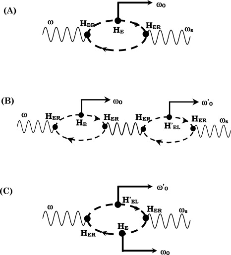 Non-linear temperature dependent Raman parametric changes: An
