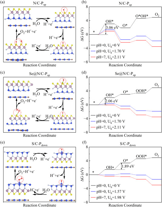 Enhanced photocatalytic overall water splitting through polarity