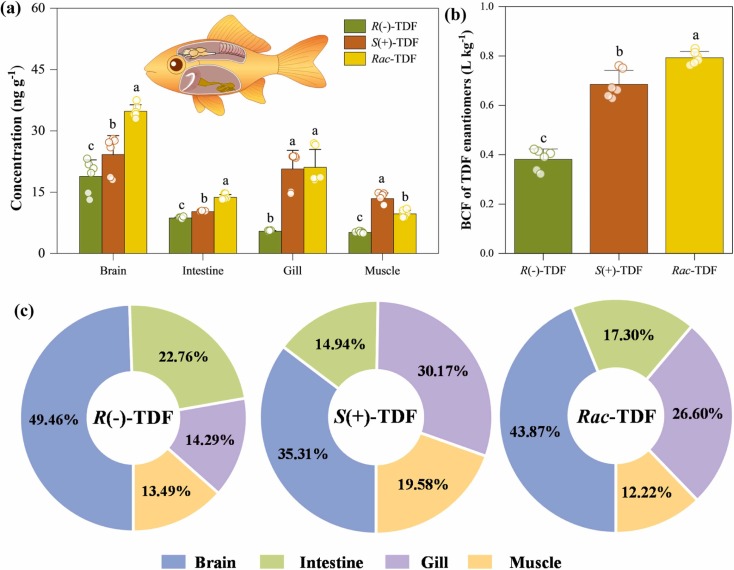 Enantioselective disruption of circadian rhythm behavior in