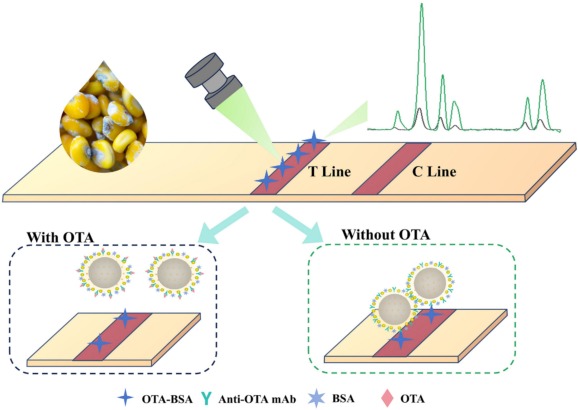 Dual SERS-enhanced core-shell-satellite assemblies with Cu-doped