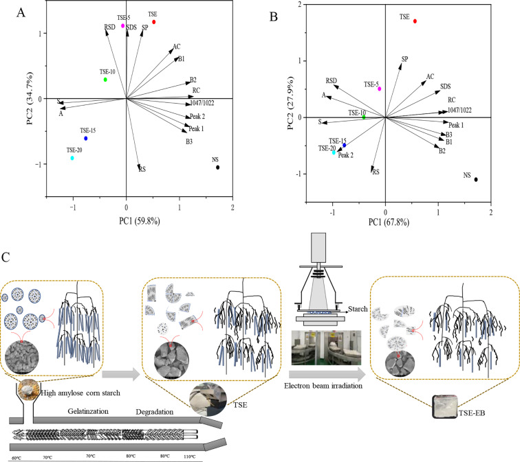 Mechanistic insights into the supramolecular structure and