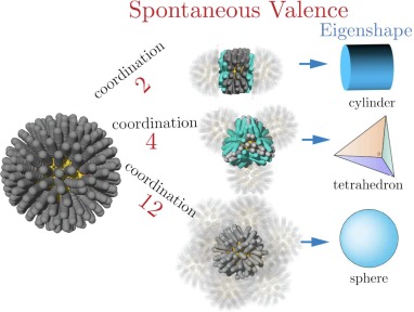 Nanocrystal programmable assembly beyond hard spheres (or shapes