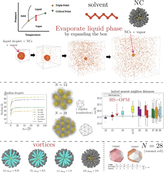 Nanocrystal programmable assembly beyond hard spheres (or shapes