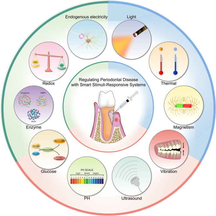 Regulating periodontal disease with smart stimuli-responsive