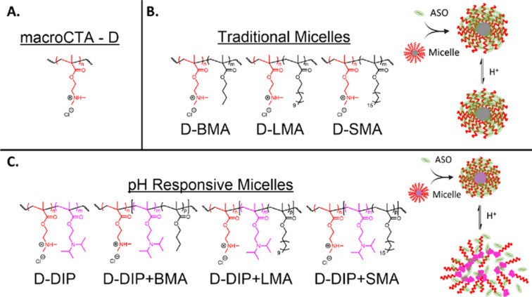 Synthetic-polymer-assisted antisense oligonucleotide delivery