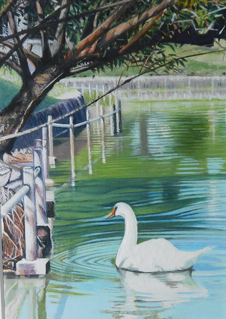No.141】七里享司「とんぼ池公園の白鳥 (2)」 | 絵画レンタル販売 Art