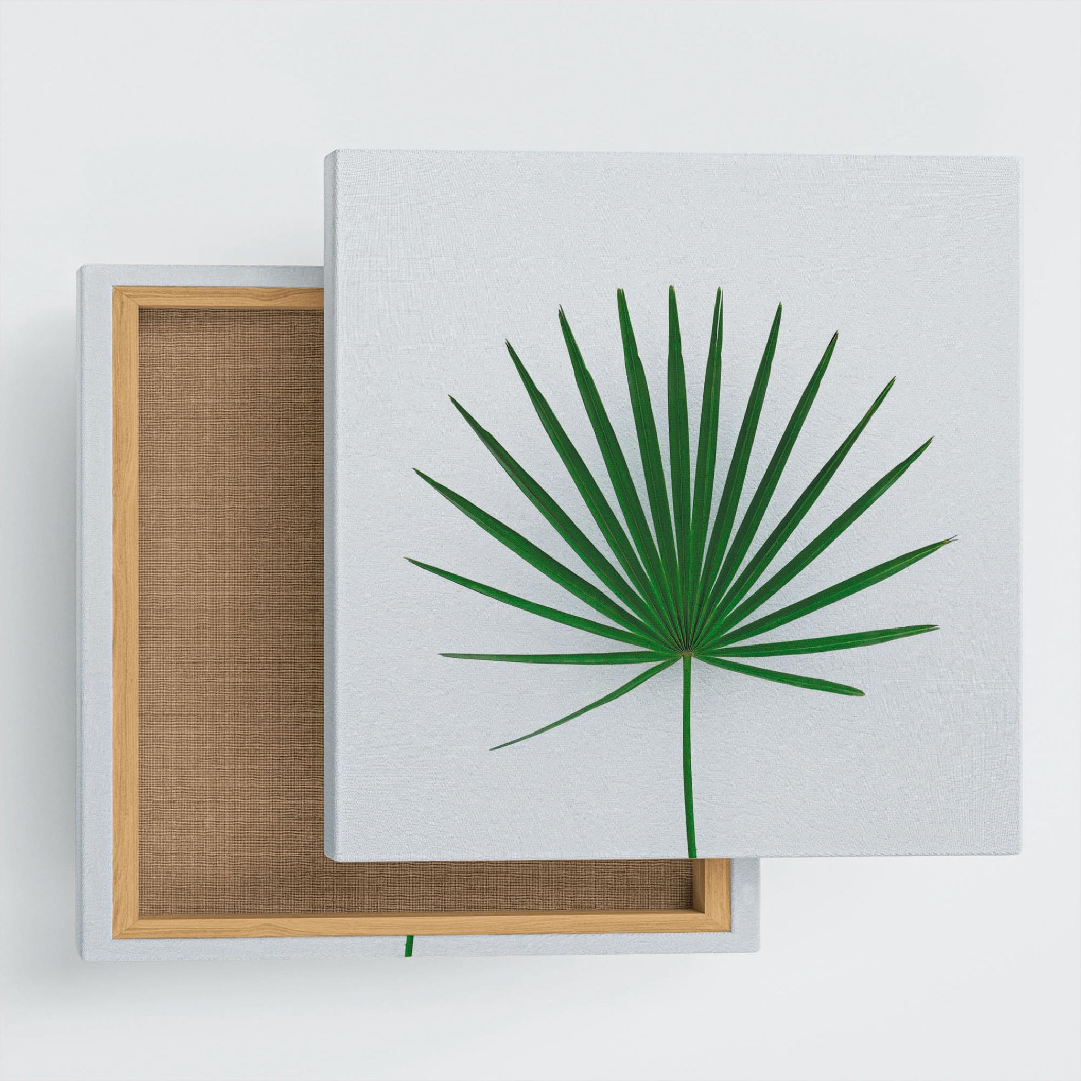 ボタニカルの壁掛けアート インテリア雑貨 アートパネル キャンバス