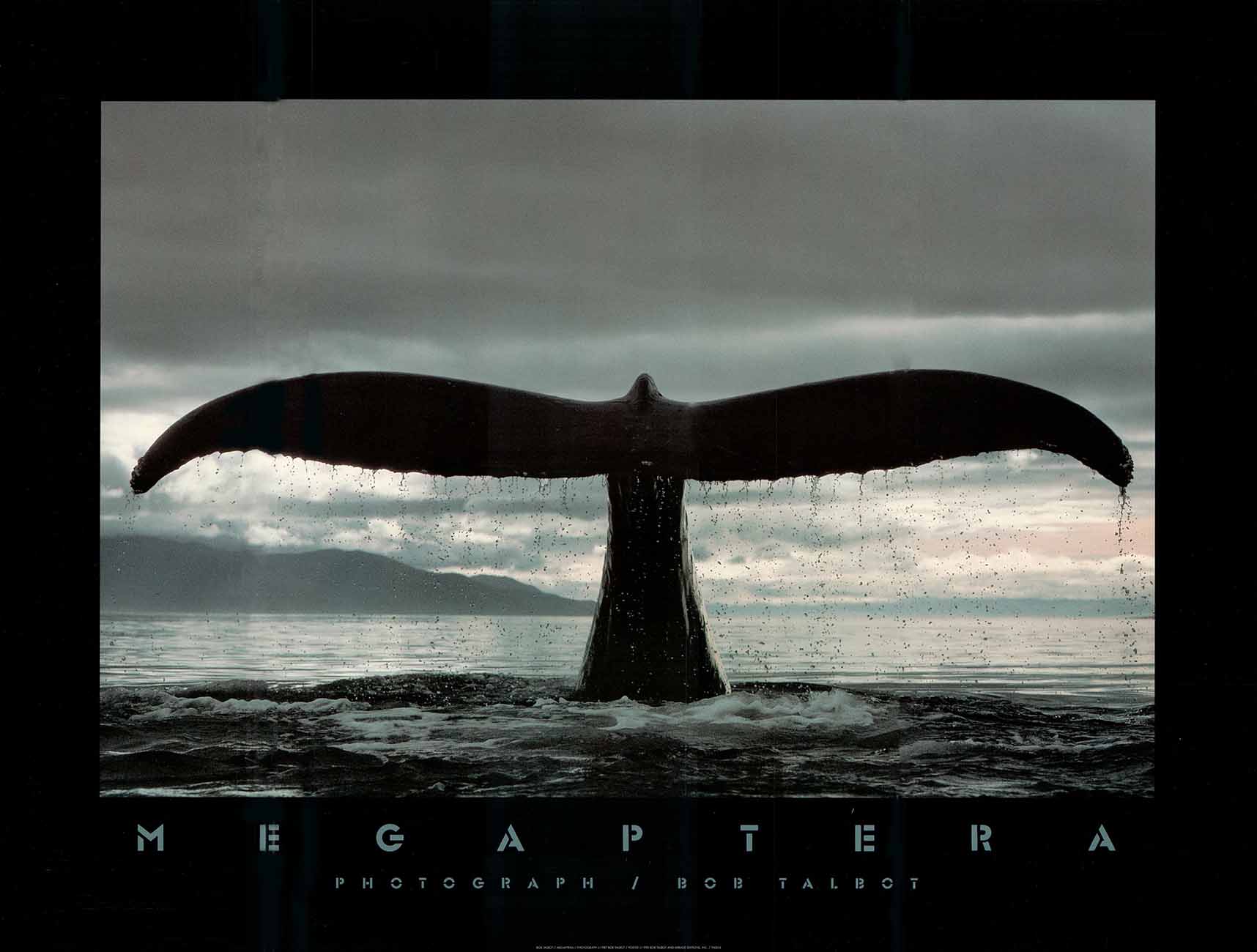 Seascape – Artistica Fine Art