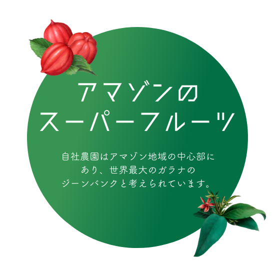 ガラナアンタルチカ日本公式HP – ガラナ飲料世界シェアNo.1