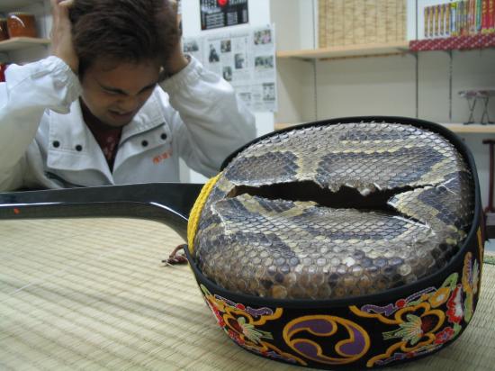 強化張りとは – 池武当新垣三線店