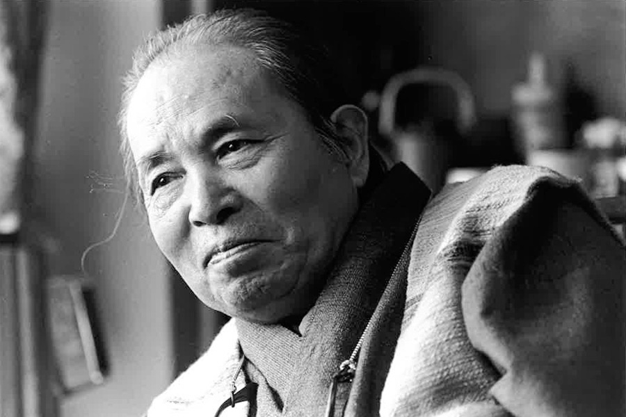 アートドキュメント 2013・土門 拳の子供たち －土田ヒロミ 構成