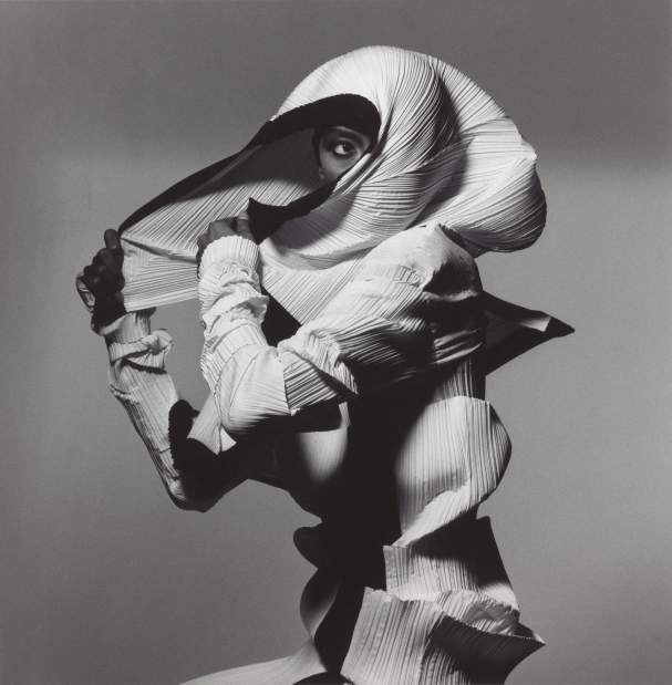 Work of photographer Irving Penn on display at The Frick Art