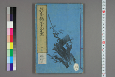 梅花春水. 巻之1-4 / 南仙笑楚満人 編述 ; 柳川重山 図絵
