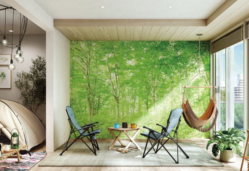 HZ7042L リザーブ ハイグラフィカ 風景写真 白神山地 ブナ林 3600mm