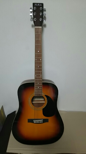 Pro Martin アコースティックギター W-180-TS(マーティン)｜売買された