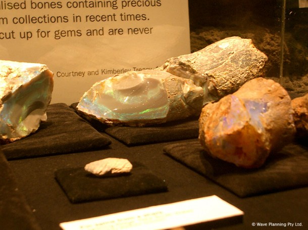 オパールになった恐竜 ～南オーストラリアで発見されたエリック