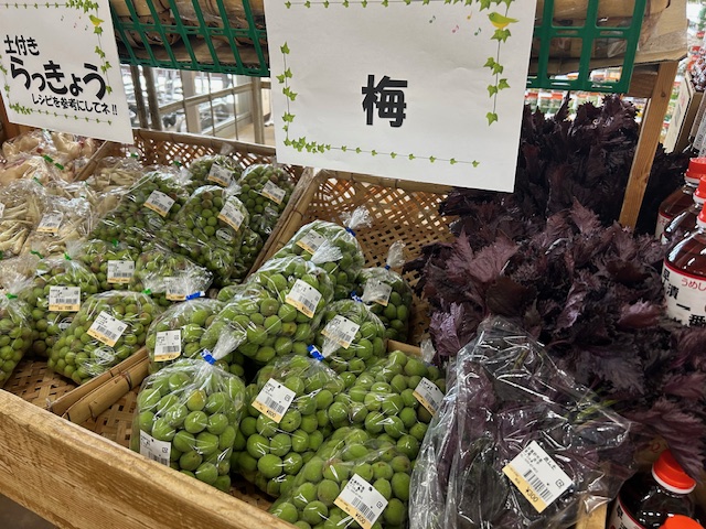 火曜日恒例詰め放題 – 安曇野ハイジの里公式ブログページです