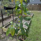 ZGSbLy_hfbcBP4uV6jOdvIc7vp96Sq