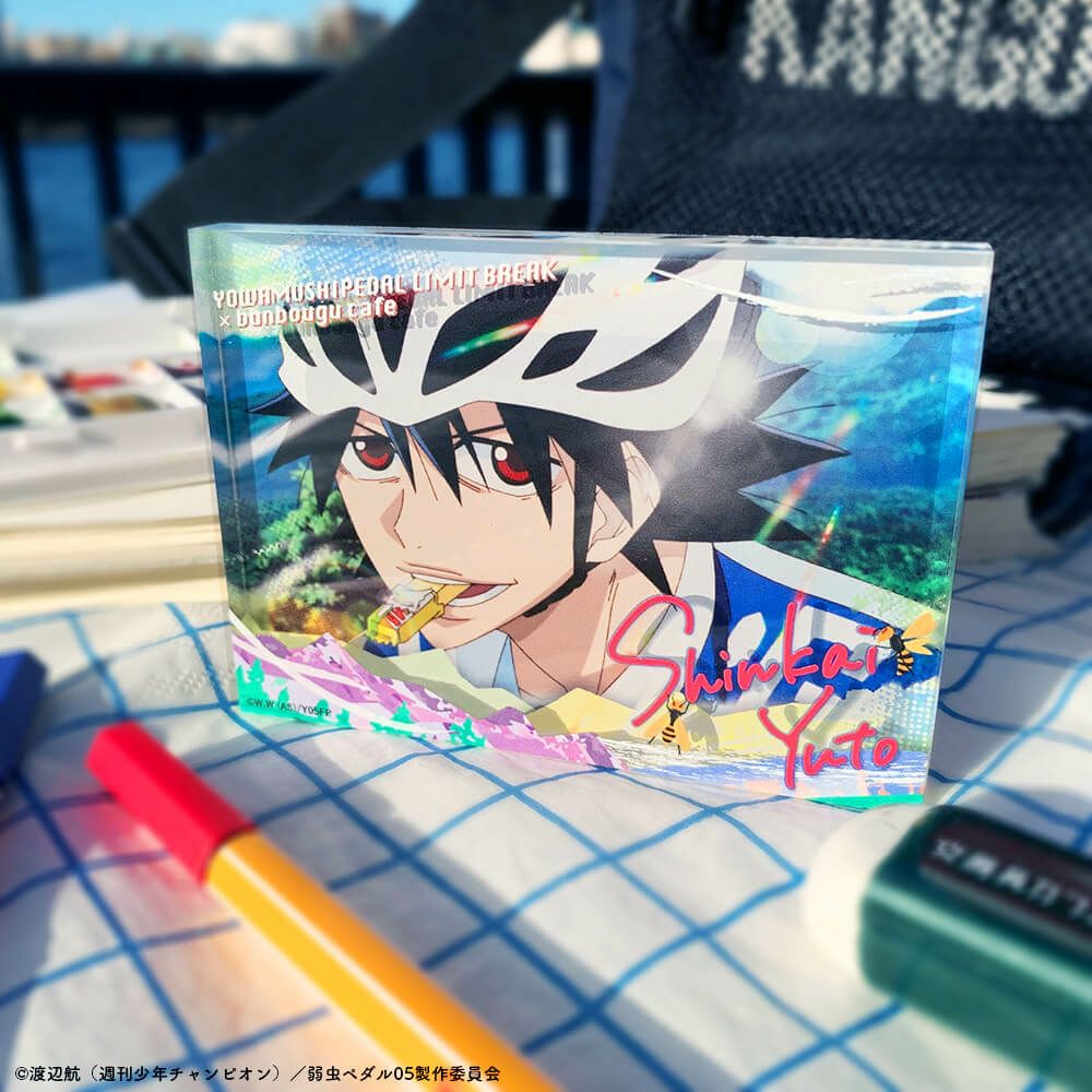 弱虫ペダル 限界突破展 新開悠人 バッジセット 新開 悠 人 グッズ 弱虫