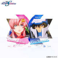 事後CTM2次抽選販売】METAL BUILD デスティニーガンダム