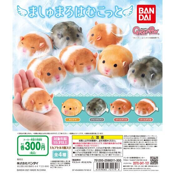 ましゅまろはむこっと｜ガシャポンオフィシャルサイト