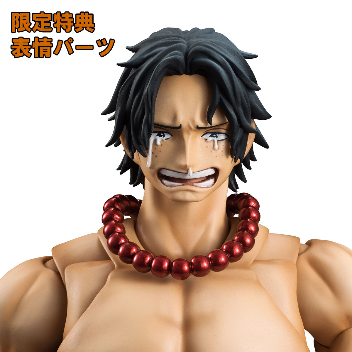 ヴァリアブルアクションヒーローズDX Portrait.Of.Pirates × VAH