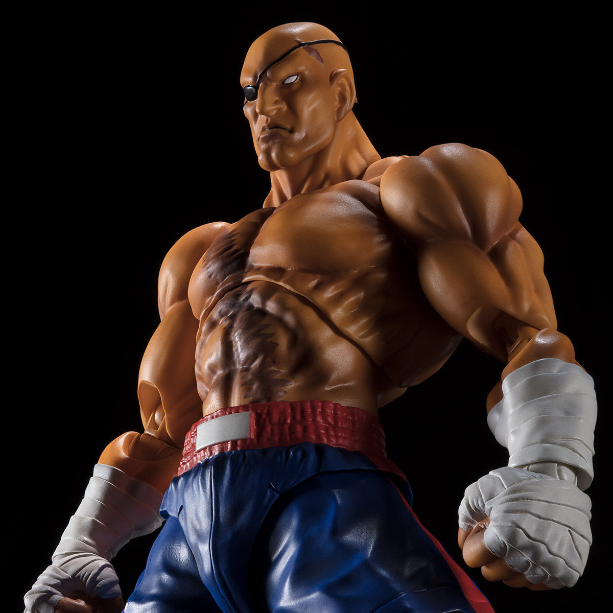 S.H.Figuarts サガット | フィギュア | アニメグッズ ・おもちゃなら