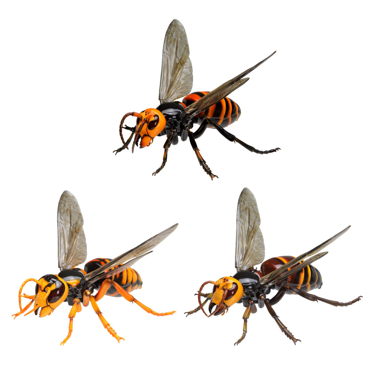 いきもの大図鑑アドバンス スズメバチ | フィギュア | アニメグッズ