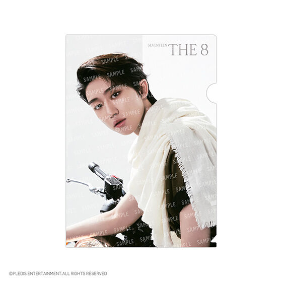 フラットガシャポン】SVTクリアファイル～Face the Sun～ From PLEDIS