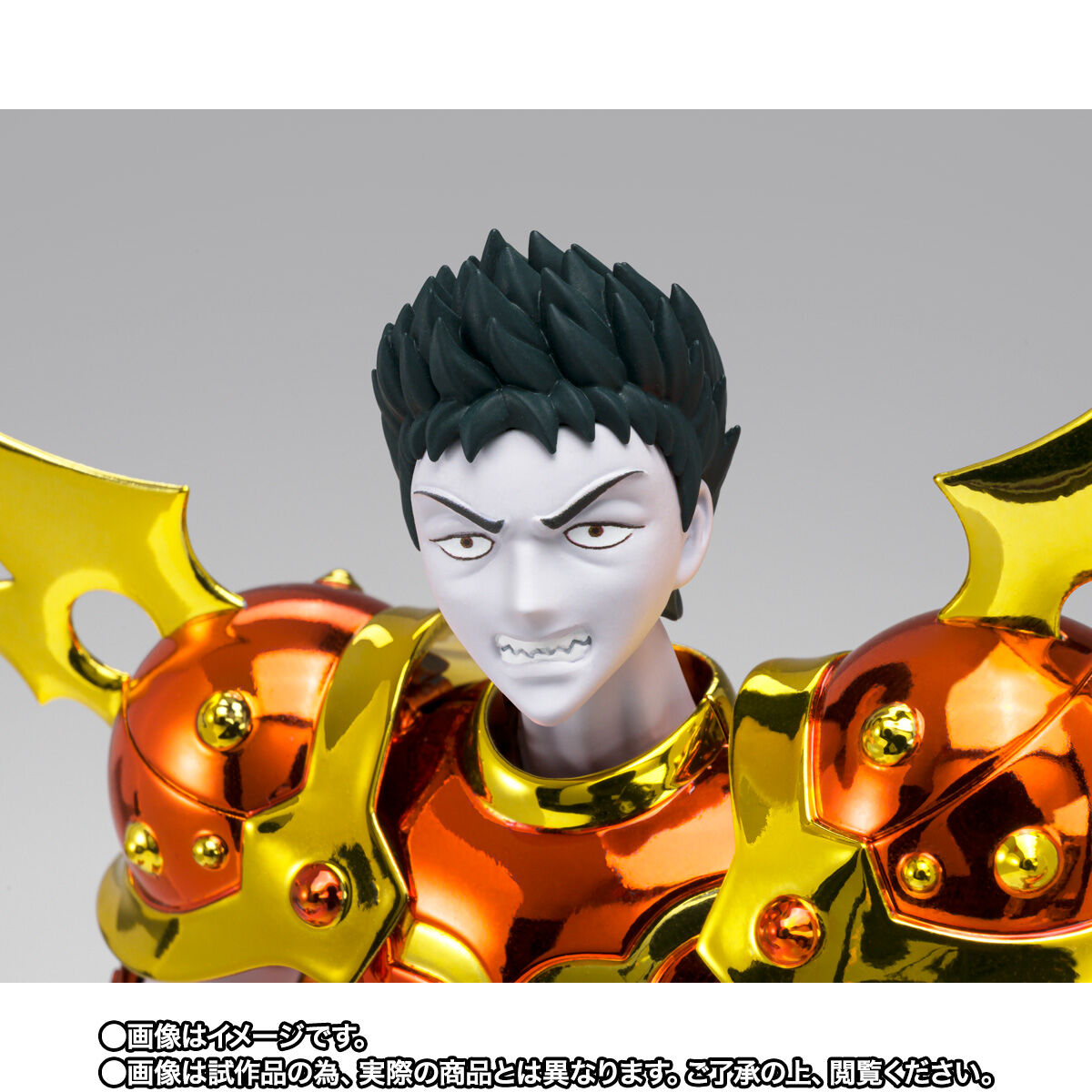 聖闘士聖衣神話EX リュムナデスカーサ | 聖闘士星矢シリーズ