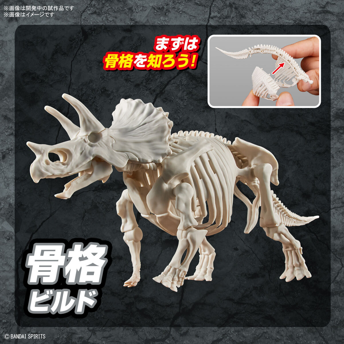 PLANNOSAURUS Triceratops｜BANDAI HOBBY SITE