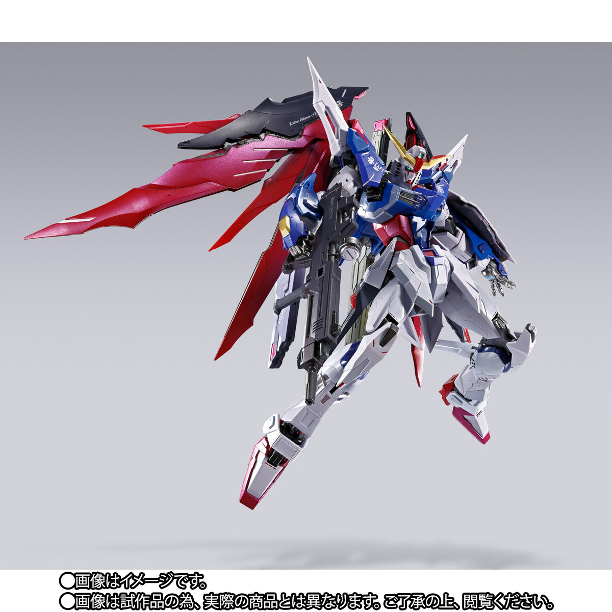 事後CTM2次抽選販売】METAL BUILD デスティニーガンダム