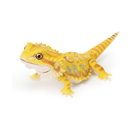 いきもの大図鑑レプティ アルマジロトカゲとフトアゴヒゲトカゲ