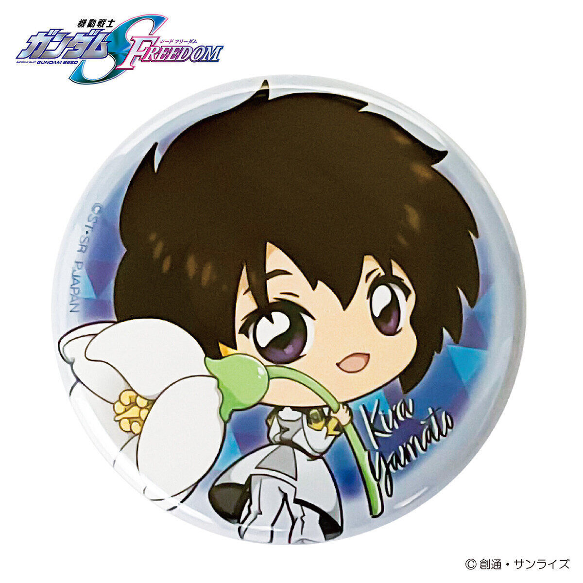 機動戦士ガンダムガンダムSEED FREEDOM ちょこそば トレーディング丸型