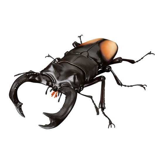 いきもの大図鑑アドバンス クワガタ02｜ガシャポンオフィシャルサイト