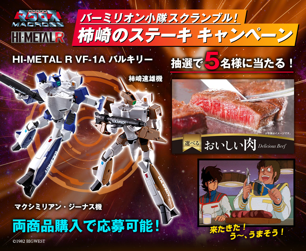 当時物 未使用品 マクロス ゼントラーディ語ほんやくスタンプ 翻訳