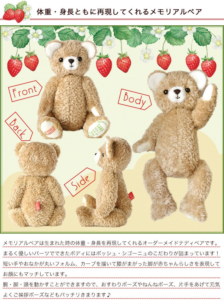 身長体重ベア】2024年限定メモリアルベア 春夏モデル | 体重ベア