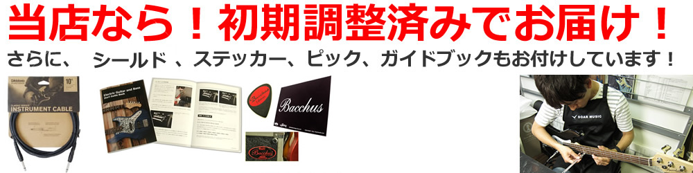 GRACE-AT/BW BLK-MAT マット仕上げ (Bacchus / バッカス) エレキギター