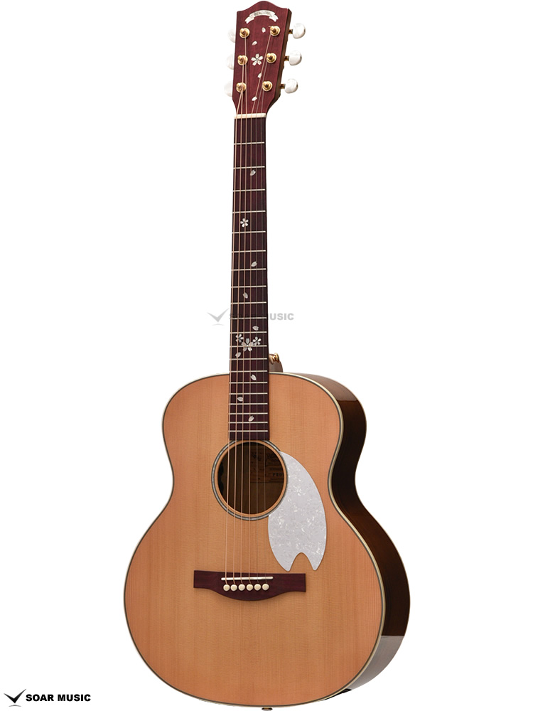 HTJ-SAKURA SKPN (Headway) アコースティックギター