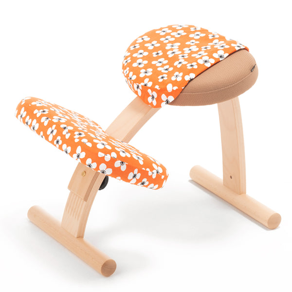 商品一覧 – バランスチェアのbalans lab (バランスラボ) 公式サイト