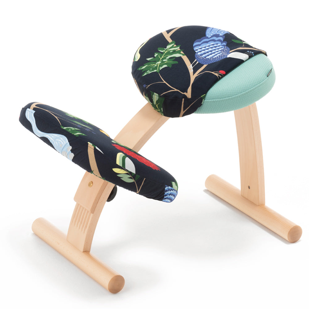 balans Easy バランスイージー サカモト バランスチェアバランスラボ