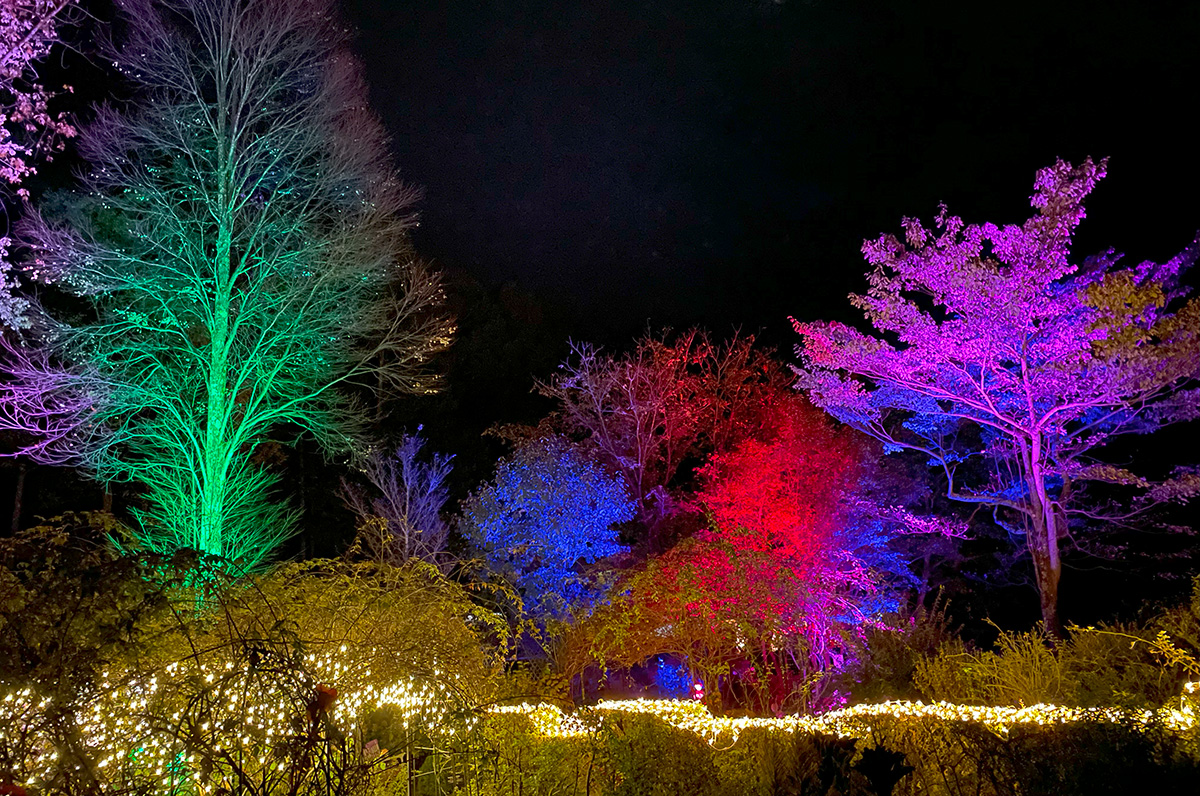 夜のガーデンをライトアップ『Magical Lighting』☆ | 蓼科高原