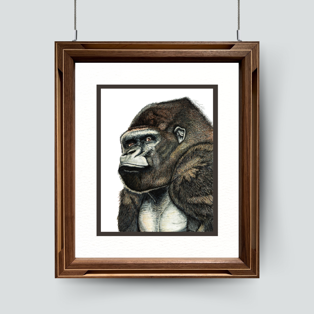 Silverback Gorilla, created with ink brush marker on 11