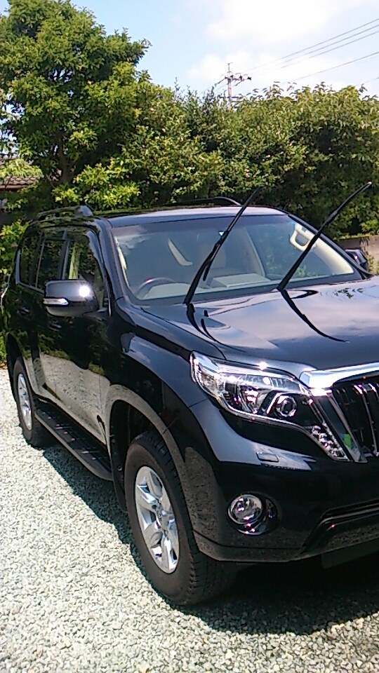 ボディカラー悩んでます』 トヨタ ランドクルーザー プラド のクチコミ