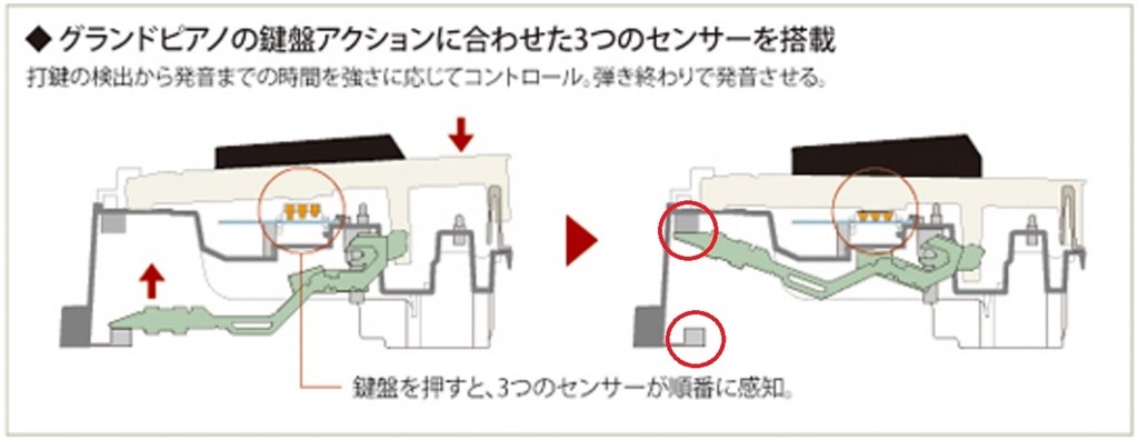 鍵盤の構造確認しました。延長保証お薦めです。』 カシオ Privia PX