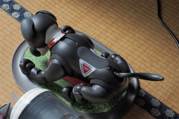 SONY aibo 黒ごま エディション ERS-1000 [黒ごまアイス] 価格比較